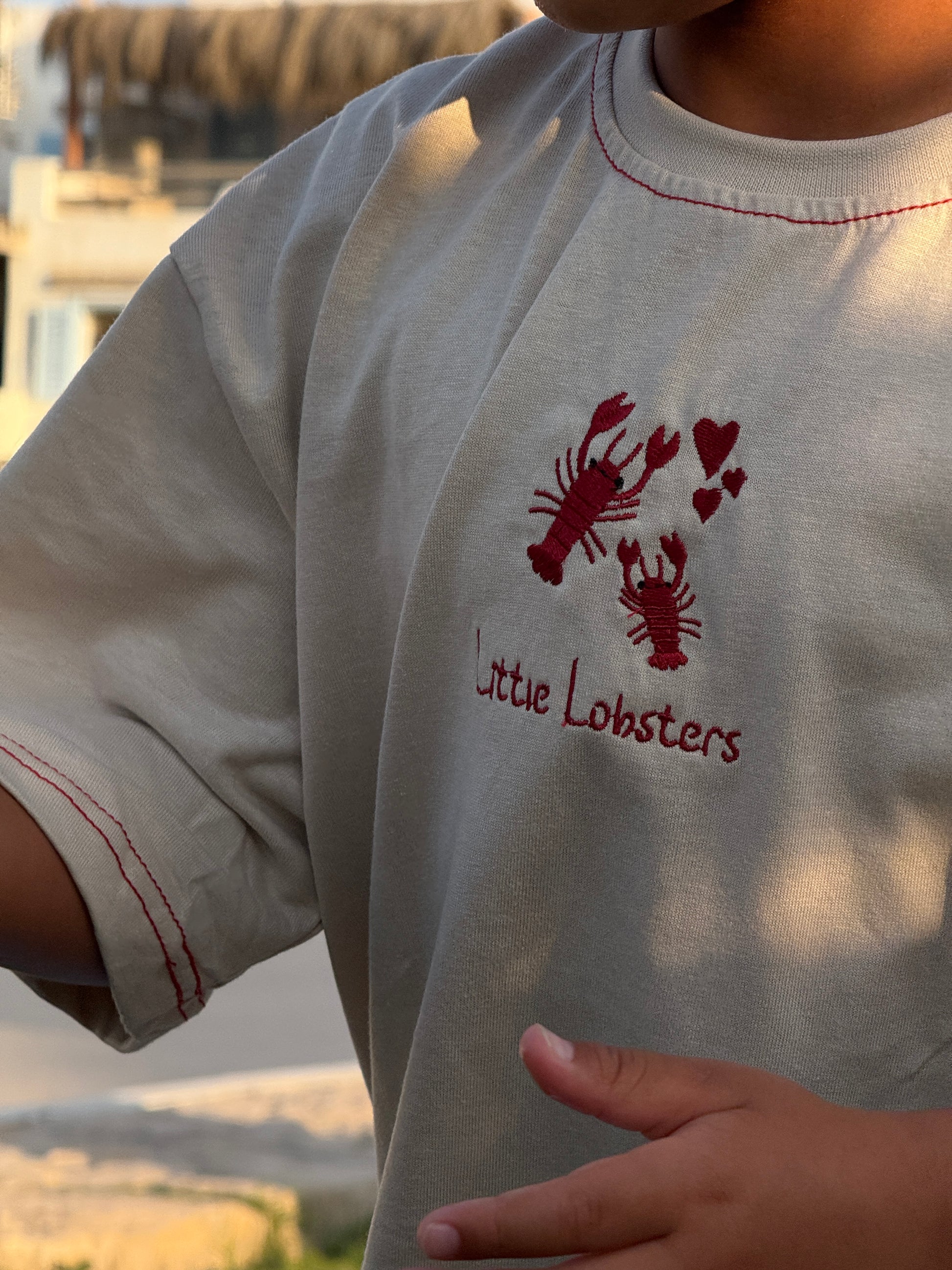 Lobsters Lounge Set